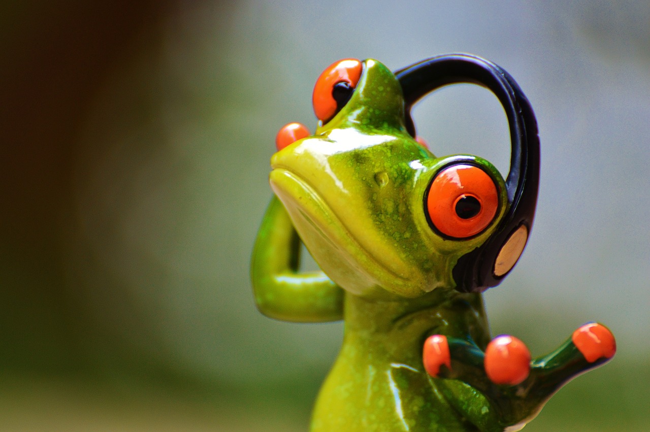 Frosch mit Kopfhörer